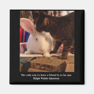 Wees een vriend Magnet Magneet