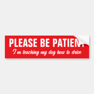 Wees Geduldig, Ik Leer Mijn Hond Autorijden Bumpersticker