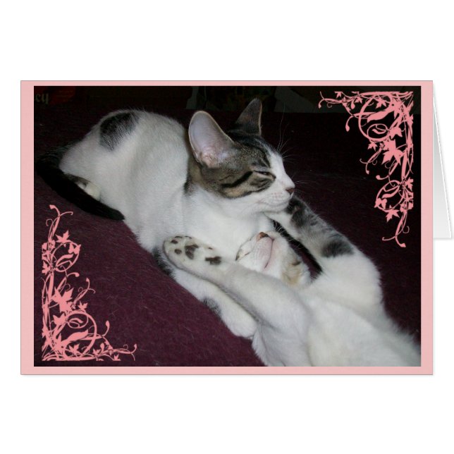 Wees geen vreemdeling (Voorkant Horizontaal)