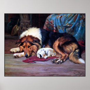 Wees Hond Gered door een Collie - de Vintage Druk Poster