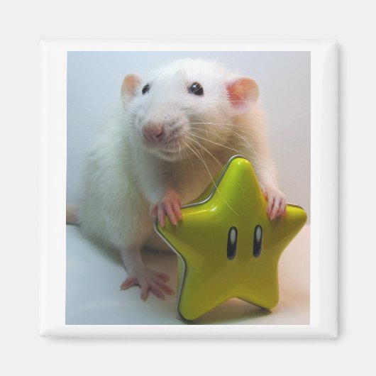 Wees je eigen ster magneet (Voorkant)