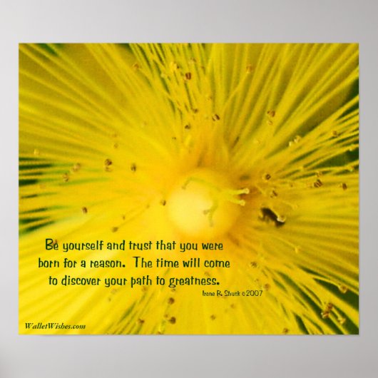 Wees jezelf poster (Voorkant)