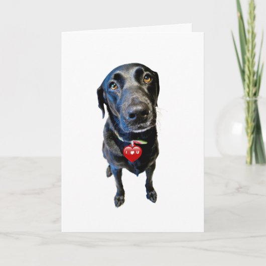 Wees mijn Valentijn Feestdagen Kaart (Voorkant)