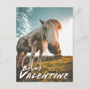 Wees mijn Valentijn met kijkend Paard Feestdagenkaart