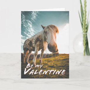 Wees mijn Valentijn met Paard kijken Kaart