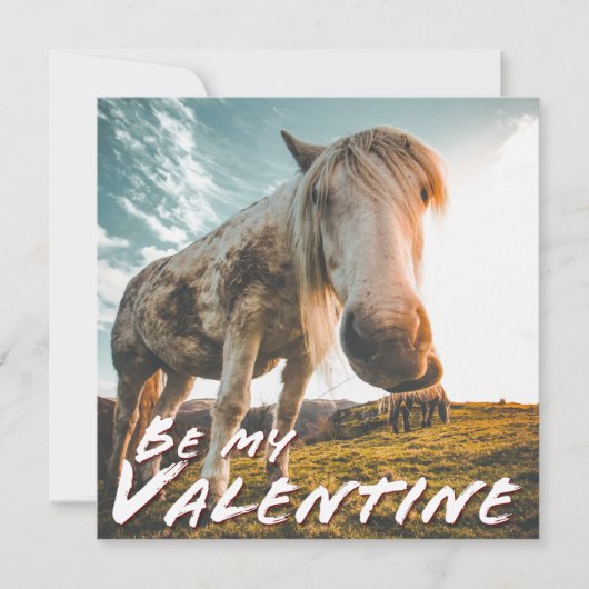 Wees mijn Valentijn met uitziende paarden (Voorkant)