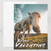 Wees mijn Valentijn met uitziende paarden (Voorkant / Achterkant)
