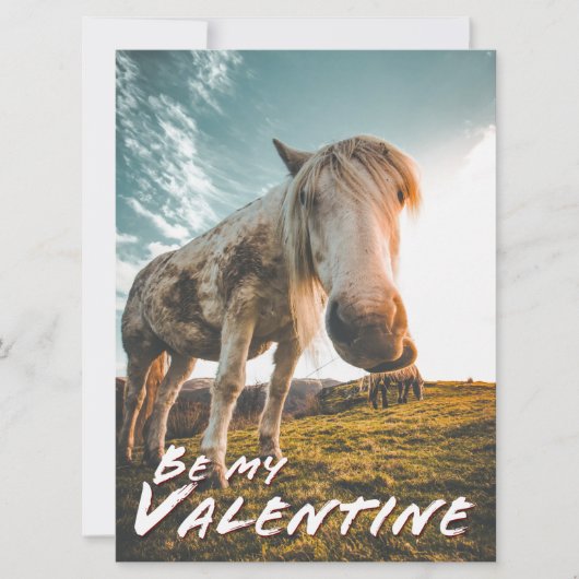 Wees mijn Valentijn met uitziende paarden (Voorkant)