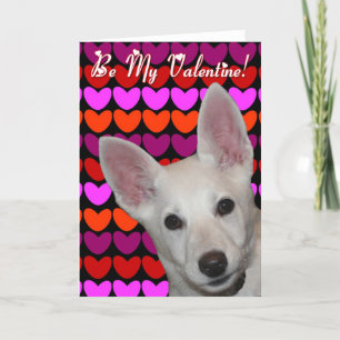Wees mijn Valentijn Wenskaart Feestdagen Kaart