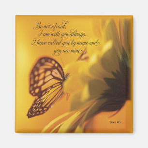 Wees niet bang voor religieuze vlinder op Daisy Magneet