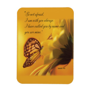 Wees niet bang voor religieuze vlinder op Daisy Magneet