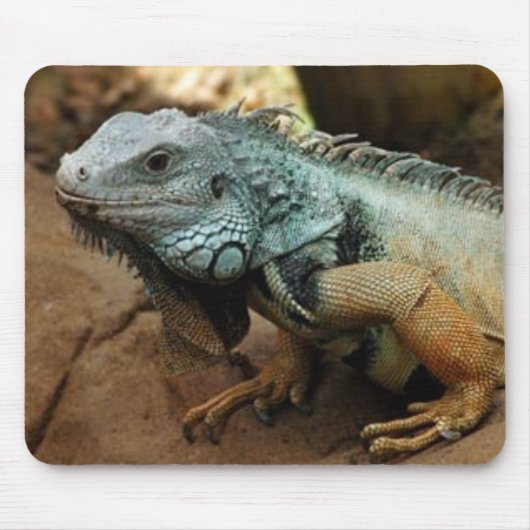 Wees niet blauw muismat (Voorkant)