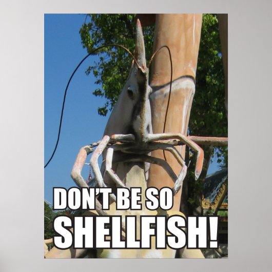 WEES NIET ZO SCHELPVIS! MEME POSTER (Voorkant)