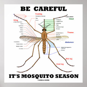 Wees voorzichtig met het mosquitoseizoen (muggenan poster