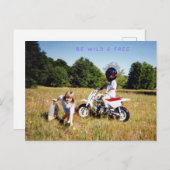 WEES WILD & VRIJ BRIEFKAART (Voorkant / Achterkant)