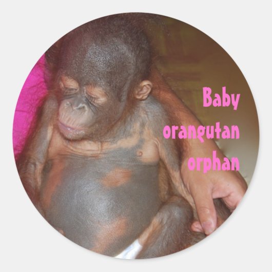 Weesbaby Dieren Orang-oetan Ronde Sticker (Voorkant)