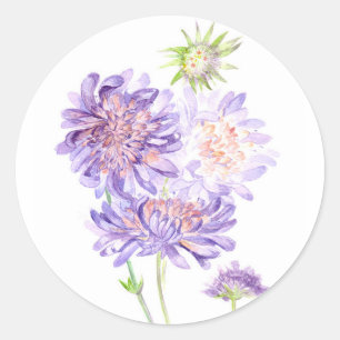 weesbloemen ronde sticker