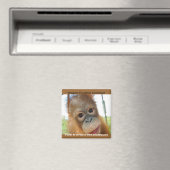 Weesdierlenteverhoging Magneet (Insitu (Vaatwasser))