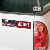 Weeshond met Collie  Art Bumpersticker (Op Truck)