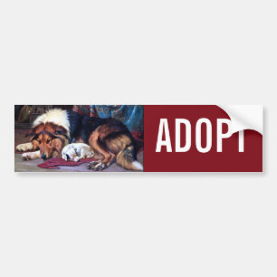 Weeshond met Collie Art Bumpersticker