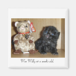 WEEWILLYvs4inchBB-1, Wee Willy op 2 weken oud. Magneet