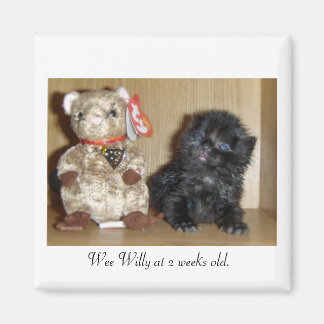 WEEWILLYvs4inchBB-1, Wee Willy op 2 weken oud. Magneet