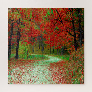WEG BOS BOMEN BOTANISCHE NATUUR LANDSCHAP LEGPUZZEL