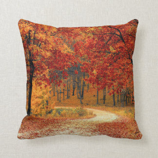 Weg Bos Herfst Pad Worp Kussen