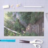 Weg door bomen tissuepapier (Craft)