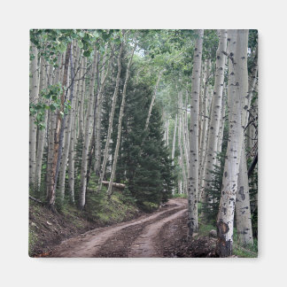 Weg door de berk magneet