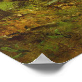 Weg door de Bossen Poster (Hoek)