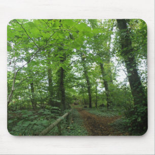 Weg door de Groene Bosmanden Muismat