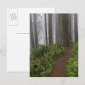 Weg door de grote roodbaars briefkaart (Voorkant / Achterkant)