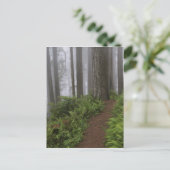 Weg door de grote roodbaars briefkaart (Staand voorkant)