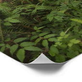 Weg door de grote roodbaars poster (Hoek)