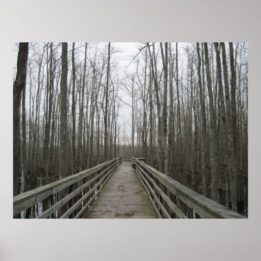 Weg door de wilde natuur poster (Voorkant)