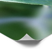 weg door hek poster (Hoek)