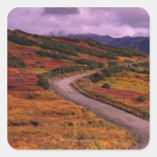 Weg door heuvels in Denali National Vierkante Sticker