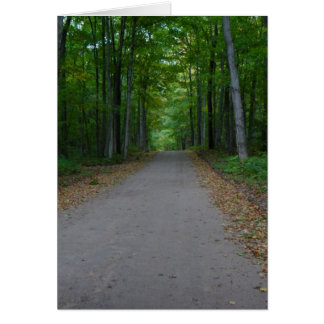 Weg in de bossen.
