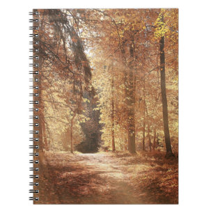 Weg in de herfstbosweg, avontuur, foliage, la notitieboek