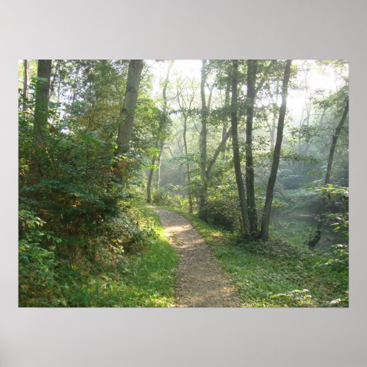 Weg in Denemarken Poster (Voorkant)