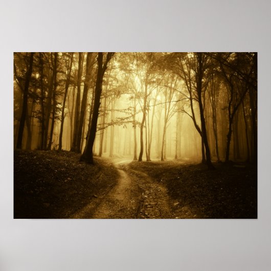 Weg in een donker bos met mist poster (Voorkant)