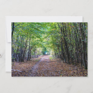Weg in het herfstbos, Saint Germain Forest Kaart