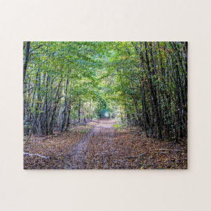 Weg in het herfstbos, Saint Germain Forest Legpuzzel