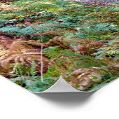 Weg in het herfstbos, Saint Germain Forest Poster (Hoek)