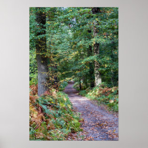 Weg in het herfstbos, Saint Germain Forest Poster
