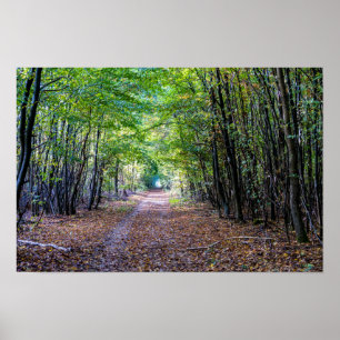 Weg in het herfstbos, Saint Germain Forest Poster