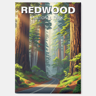 Weg in het Redwood National Park Magneet