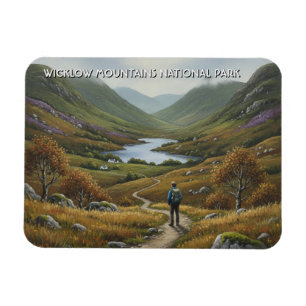 Weg in Wicklow Mountains National Park Ierland Magneet