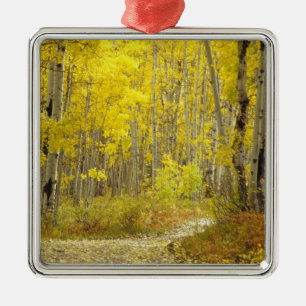 Weg met herfstkleuren en asbest in Kebler 2 Metalen Ornament